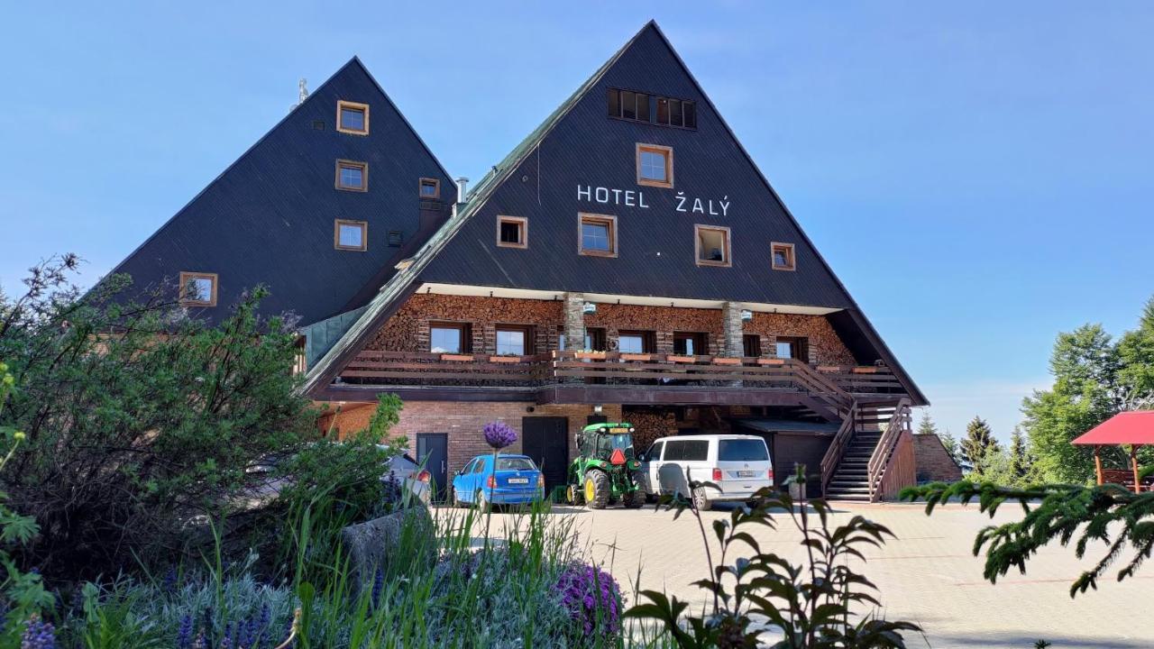 Apartmán 206 Žalý Benecko Exteriér fotografie